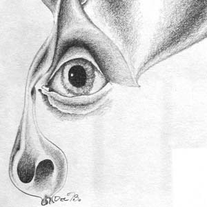 Drugs & Harm